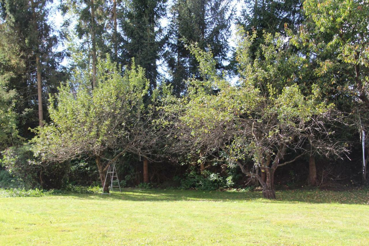 Villa Narrenhaus Fohnsdorf Exterior foto